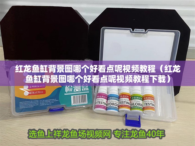 紅龍魚缸背景圖哪個(gè)好看點(diǎn)呢視頻教程（紅龍魚缸背景圖哪個(gè)好看點(diǎn)呢視頻教程下載）