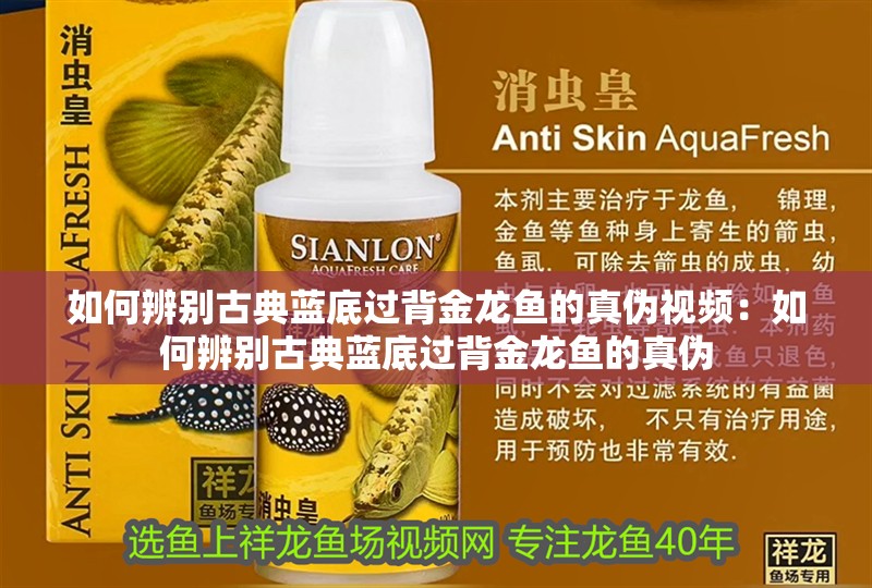 龍魚拒食一個月：龍魚拒食一個月可能由多種因素引起的拒食