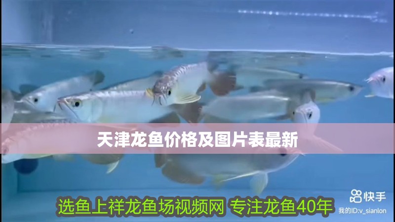 天津龍魚價格及圖片表最新