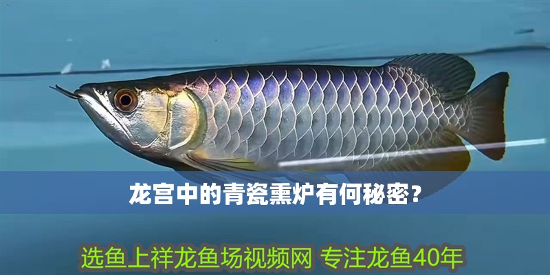 龍宮中的青瓷熏爐有何秘密？