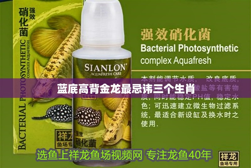 藍底高背金龍最忌諱三個生肖