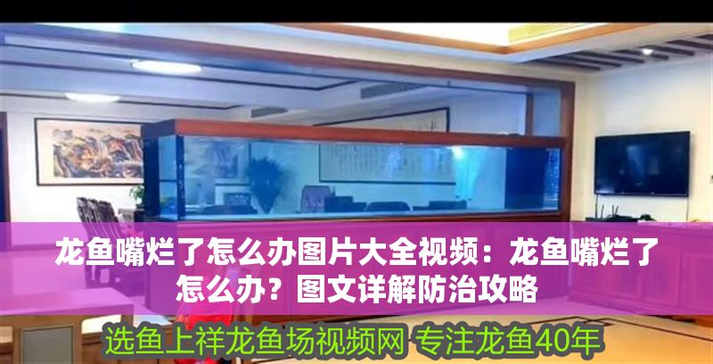 龍魚嘴爛了怎么辦圖片大全視頻：龍魚嘴爛了怎么辦？圖文詳解防治攻略
