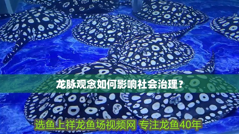 龍脈觀念如何影響社會(huì)治理？