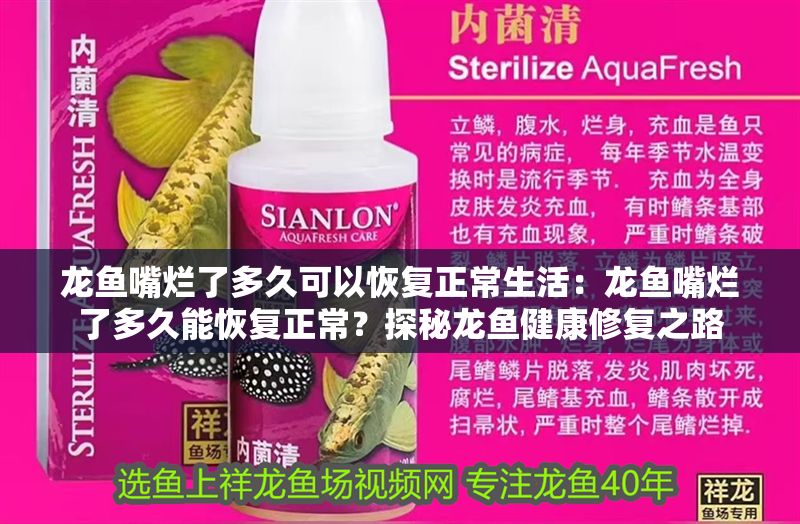 龍魚嘴爛了多久可以恢復(fù)正常生活：龍魚嘴爛了多久能恢復(fù)正常？探秘龍魚健康修復(fù)之路