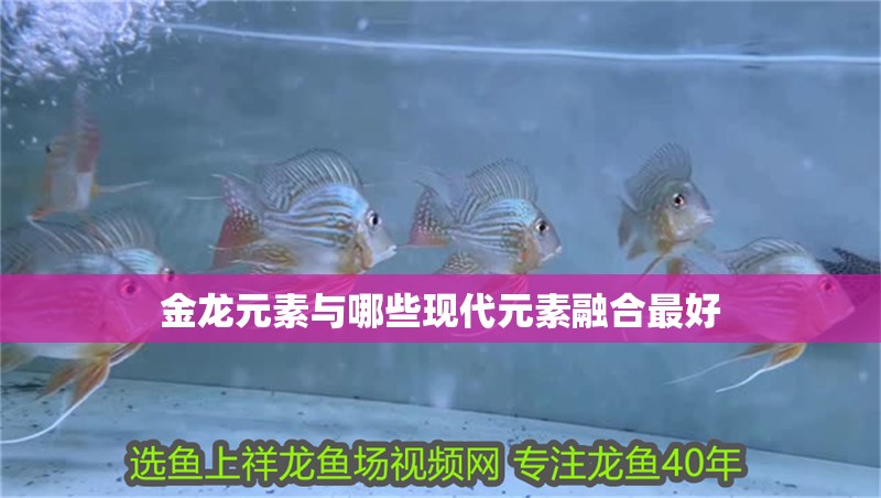 金龍元素與哪些現代元素融合最好