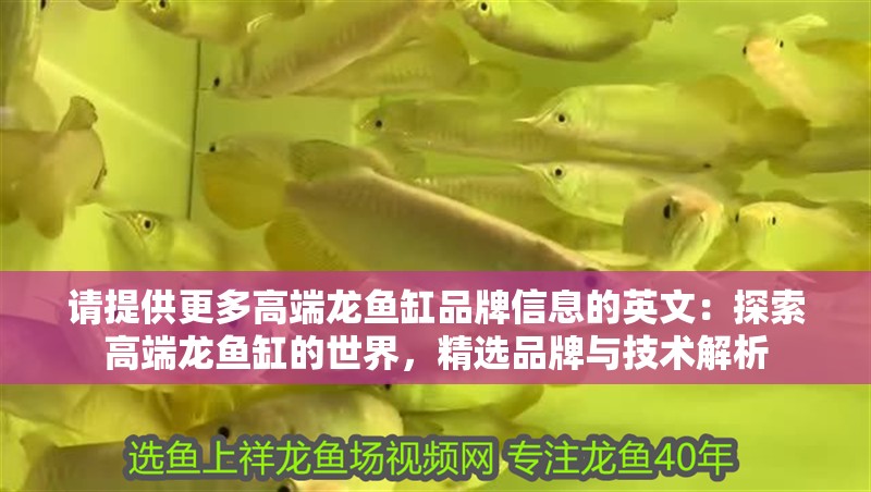 請?zhí)峁└喔叨她堲~缸品牌信息的英文：探索高端龍魚缸的世界，精選品牌與技術(shù)解析