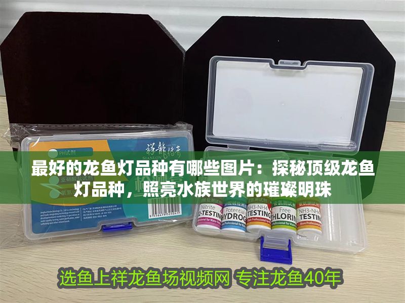 最好的龍魚燈品種有哪些圖片：探秘頂級龍魚燈品種，照亮水族世界的璀璨明珠