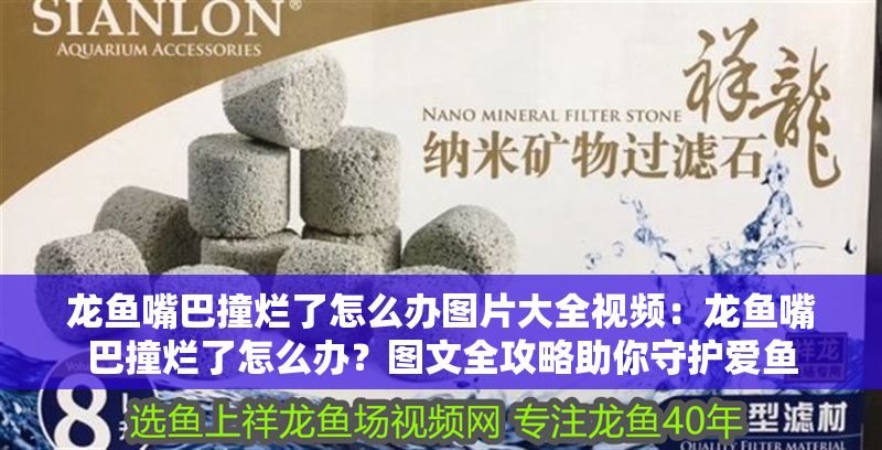 龍魚嘴巴撞爛了怎么辦圖片大全視頻：龍魚嘴巴撞爛了怎么辦？圖文全攻略助你守護愛魚