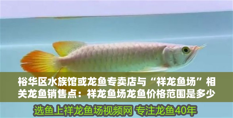 裕華區(qū)水族館或龍魚(yú)專賣店與“祥龍魚(yú)場(chǎng)”相關(guān)龍魚(yú)銷售點(diǎn)：祥龍魚(yú)場(chǎng)龍魚(yú)價(jià)格范圍是多少？
