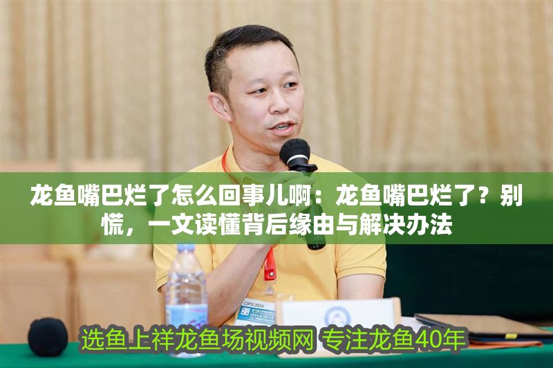 龍魚(yú)嘴巴爛了怎么回事兒啊：龍魚(yú)嘴巴爛了？別慌，一文讀懂背后緣由與解決辦法