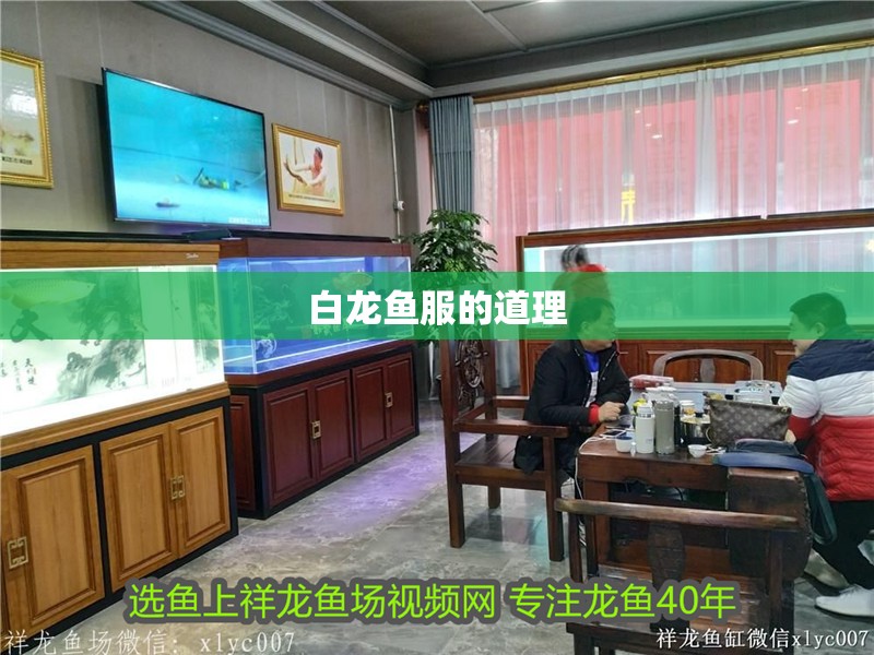 白龍魚服的道理