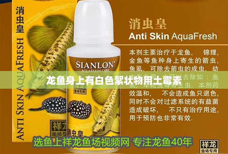 龍魚身上有白色絮狀物用土霉素