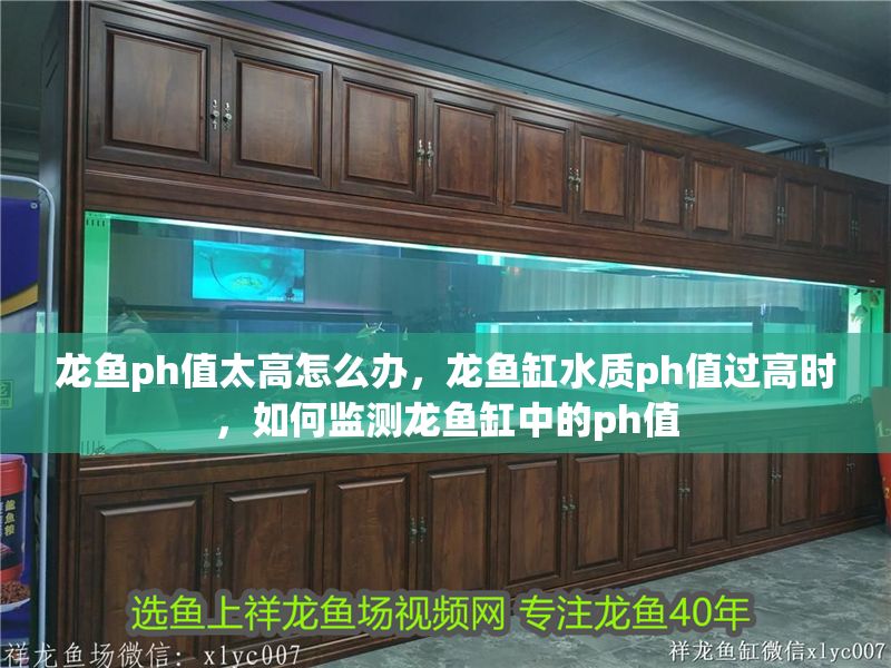 龍魚ph值太高怎么辦，龍魚缸水質ph值過高時，如何監測龍魚缸中的ph值
