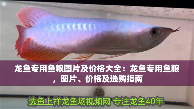 龍魚(yú)專用魚(yú)糧圖片及價(jià)格大全：龍魚(yú)專用魚(yú)糧，圖片、價(jià)格及選購(gòu)指南
