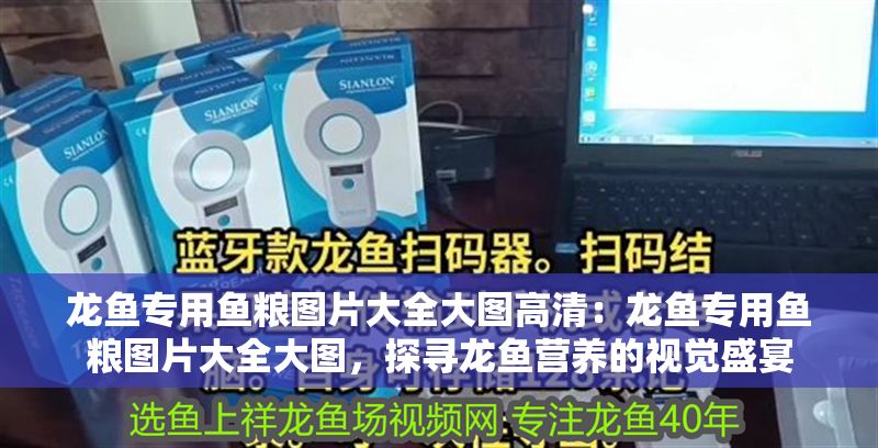 龍魚專用魚糧圖片大全大圖高清：龍魚專用魚糧圖片大全大圖，探尋龍魚營養的視覺盛宴