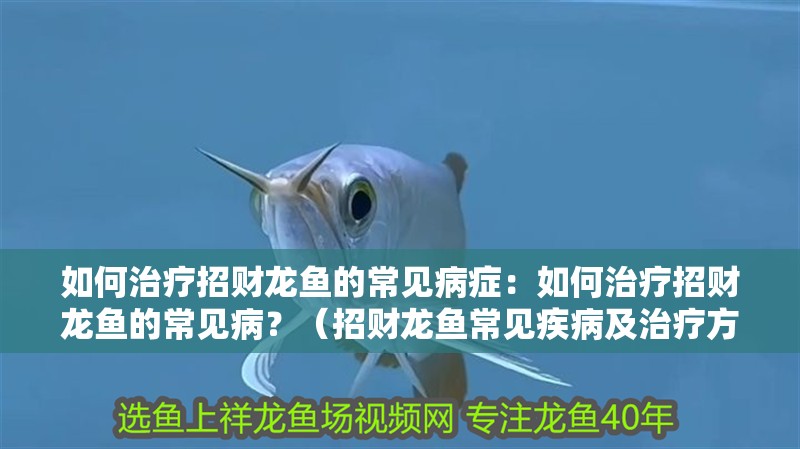 如何治療招財(cái)龍魚(yú)的常見(jiàn)病癥：如何治療招財(cái)龍魚(yú)的常見(jiàn)病？（招財(cái)龍魚(yú)常見(jiàn)疾病及治療方法）