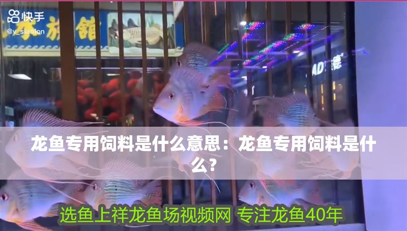 龍魚專用飼料是什么意思：龍魚專用飼料是什么？
