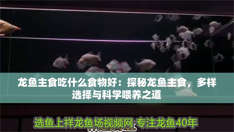 龍魚主食吃什么食物好:探秘龍魚主食,多樣選擇與科學喂養之道 龍魚百科 第1張 龍魚主食吃什么食物好:探秘龍魚主食,多樣選擇與科學喂養之道 龍魚主食吃什么食物好:探秘龍魚主食,多樣選擇與科學喂養之道 龍魚百科 第1張
