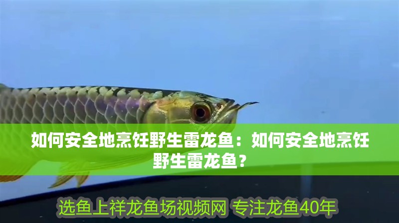 如何安全地烹飪野生雷龍魚：如何安全地烹飪野生雷龍魚？