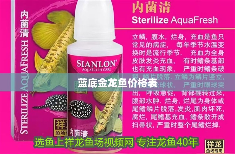 藍底金龍魚價格表