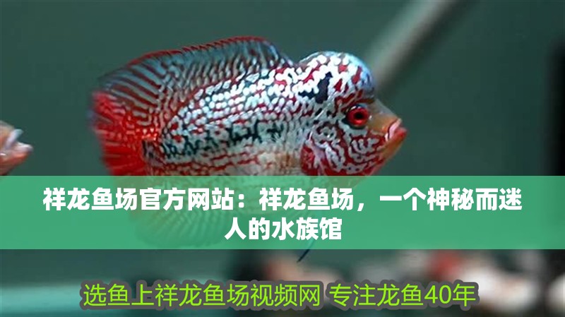 祥龍魚場官方網(wǎng)站：祥龍魚場，一個(gè)神秘而迷人的水族館