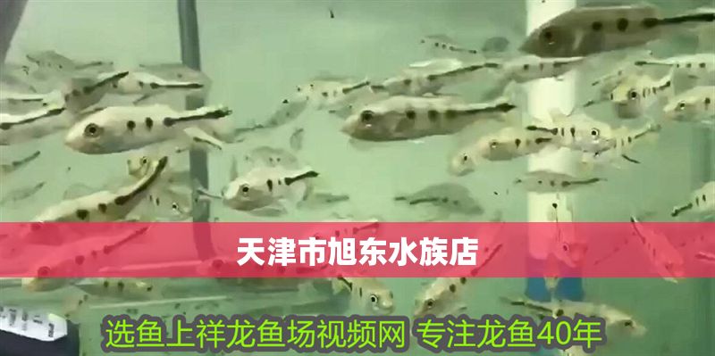 天津市旭東水族店 天津市旭東水族店 全國水族館企業名錄 第1張