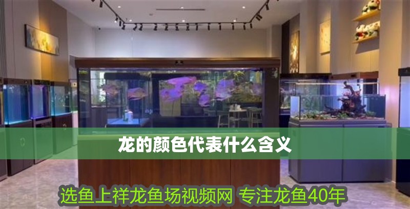 龍的顏色代表什么含義