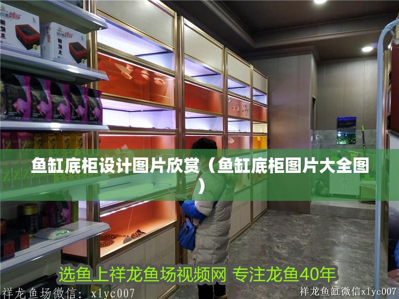 魚缸底柜設(shè)計圖片欣賞（魚缸底柜圖片大全圖）