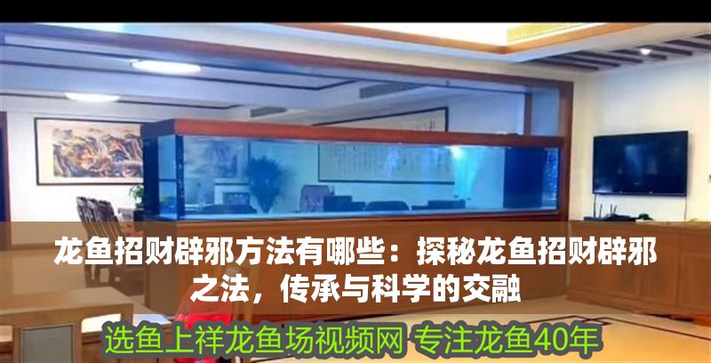龍魚招財辟邪方法有哪些：探秘龍魚招財辟邪之法，傳承與科學的交融