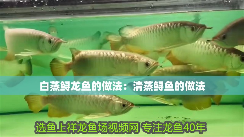 白蒸鱘龍魚的做法：清蒸鱘魚的做法