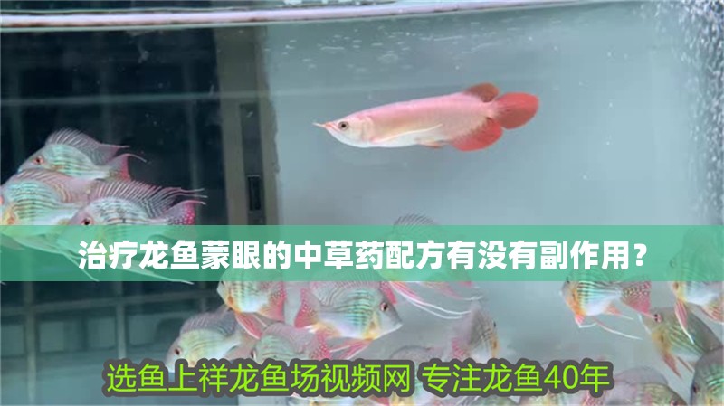 治療龍魚蒙眼的中草藥配方有沒有副作用？