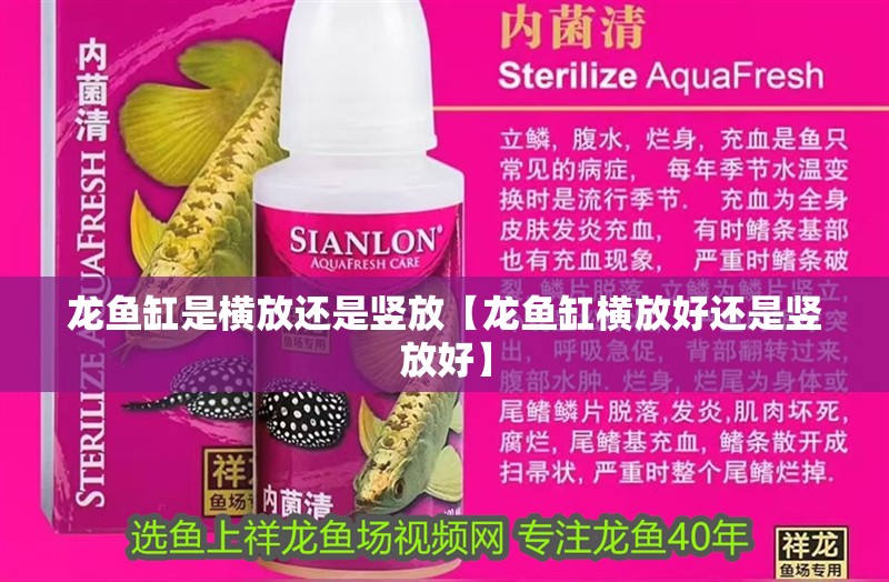 龍魚缸是橫放還是豎放【龍魚缸橫放好還是豎放好】