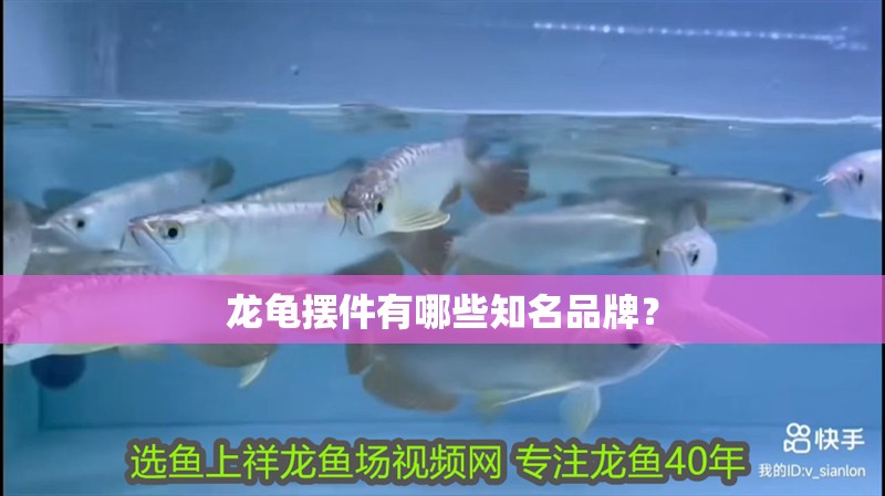 龍龜擺件有哪些知名品牌？