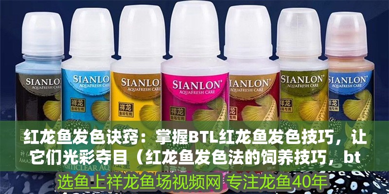 紅龍魚發色訣竅：掌握BTL紅龍魚發色技巧，讓它們光彩奪目（紅龍魚發色法的飼養技巧，btl發色法的飼養技巧）