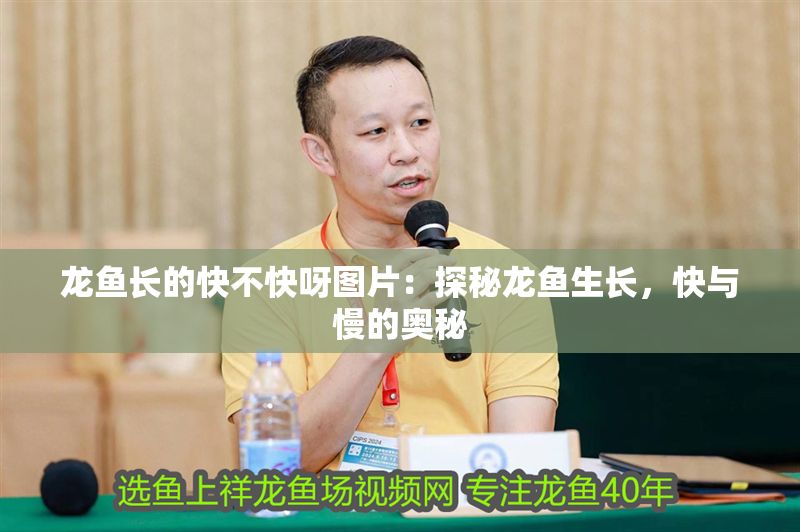 龍魚長的快不快呀圖片：探秘龍魚生長，快與慢的奧秘