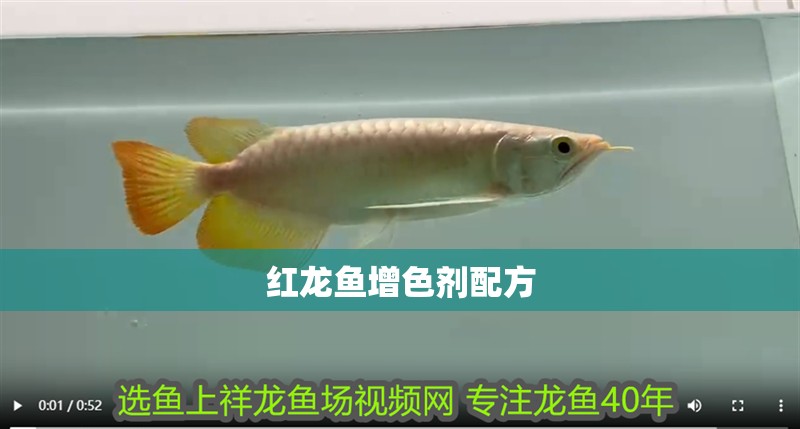 紅龍魚增色劑配方