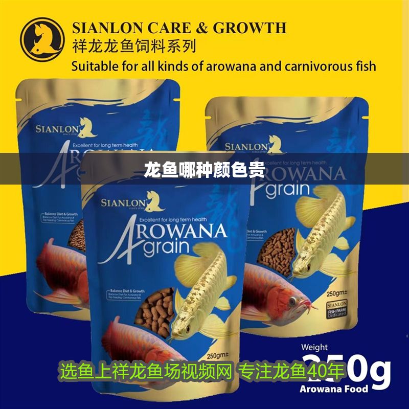 龍魚哪種顏色貴 龍魚百科 第2張 龍魚哪種顏色貴 龍魚哪種顏色貴 龍魚百科 第2張