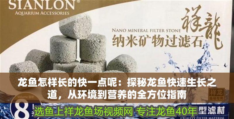 龍魚怎樣長的快一點呢：探秘龍魚快速生長之道，從環(huán)境到營養(yǎng)的全方位指南
