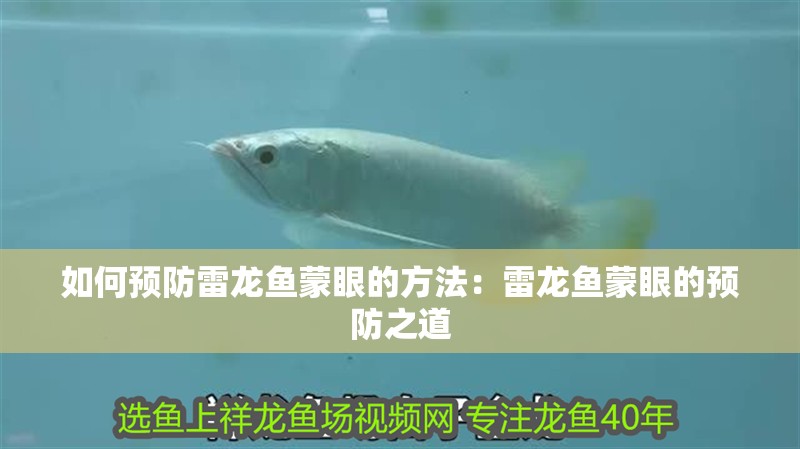 如何預防雷龍魚蒙眼的方法：雷龍魚蒙眼的預防之道