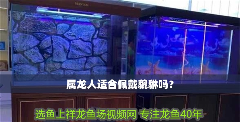 屬龍人適合佩戴貔貅嗎？