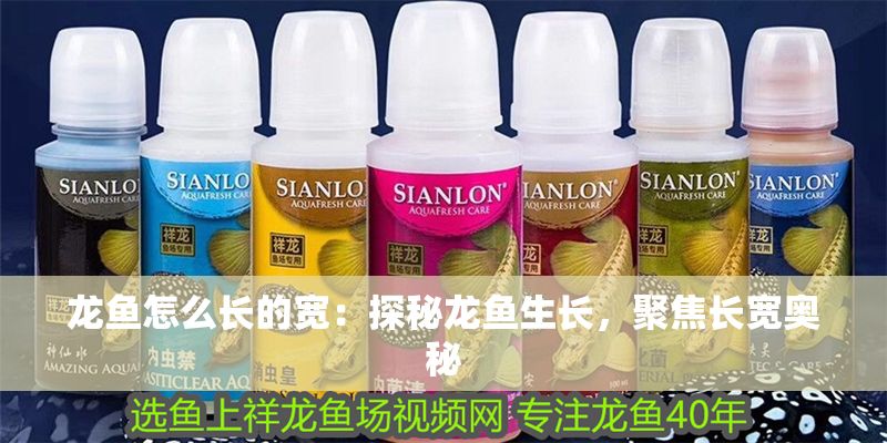 龍魚怎么長的寬：探秘龍魚生長，聚焦長寬奧秘