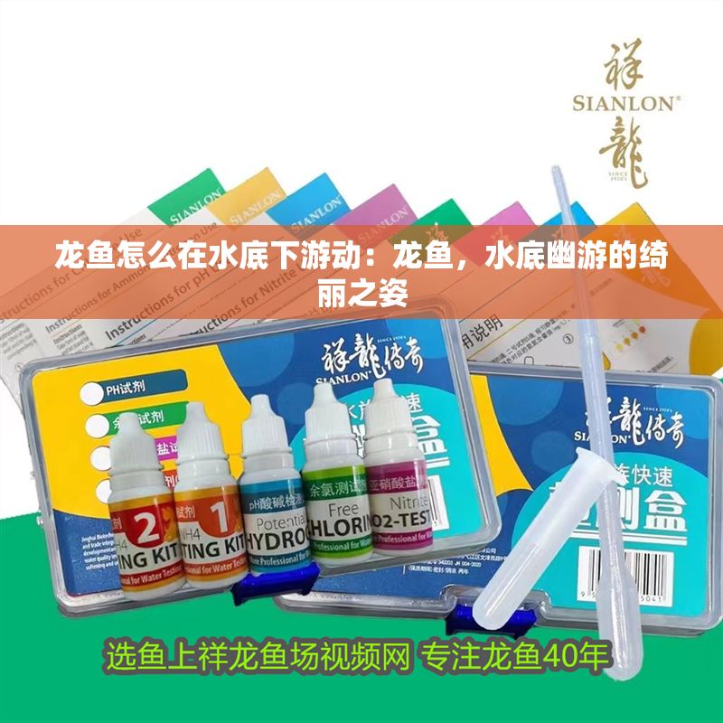 龍魚怎么在水底下游動：龍魚，水底幽游的綺麗之姿