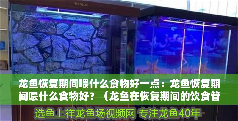 龍魚恢復(fù)期間喂什么食物好一點(diǎn)：龍魚恢復(fù)期間喂什么食物好？（龍魚在恢復(fù)期間的飲食管理）