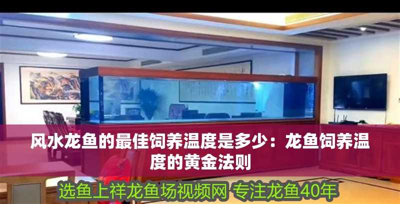 風水龍魚的最佳飼養溫度是多少：龍魚飼養溫度的黃金法則