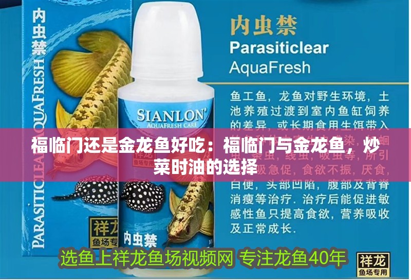 魚缸過濾器選購指南:自制魚缸過濾器魚缸上置過濾器對于養魚愛好者的必備知識 龍魚用眼睛擦缸什么回事:龍魚用眼睛擦缸可能由多種原因引起龍魚用眼睛擦缸 龍魚百科 龍魚用眼睛擦缸什么回事:龍魚用眼睛擦缸可能由多種原因引起龍魚用眼睛擦缸 龍魚用眼睛擦缸什么回事:龍魚用眼睛擦缸可能由多種原因引起龍魚用眼睛擦缸 龍魚百科