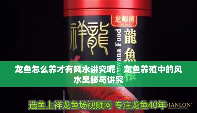 龍魚(yú)怎么養(yǎng)才有風(fēng)水講究呢：龍魚(yú)養(yǎng)殖中的風(fēng)水奧秘與講究