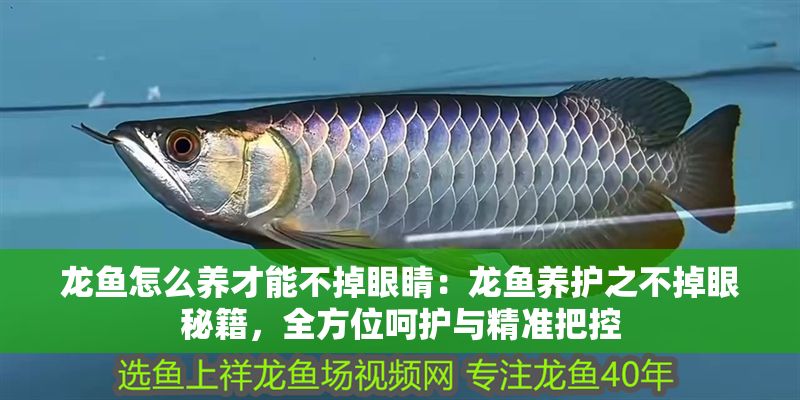 龍魚怎么養(yǎng)才能不掉眼睛：龍魚養(yǎng)護(hù)之不掉眼秘籍，全方位呵護(hù)與精準(zhǔn)把控