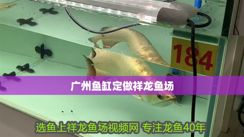 廣州魚缸定做祥龍魚場