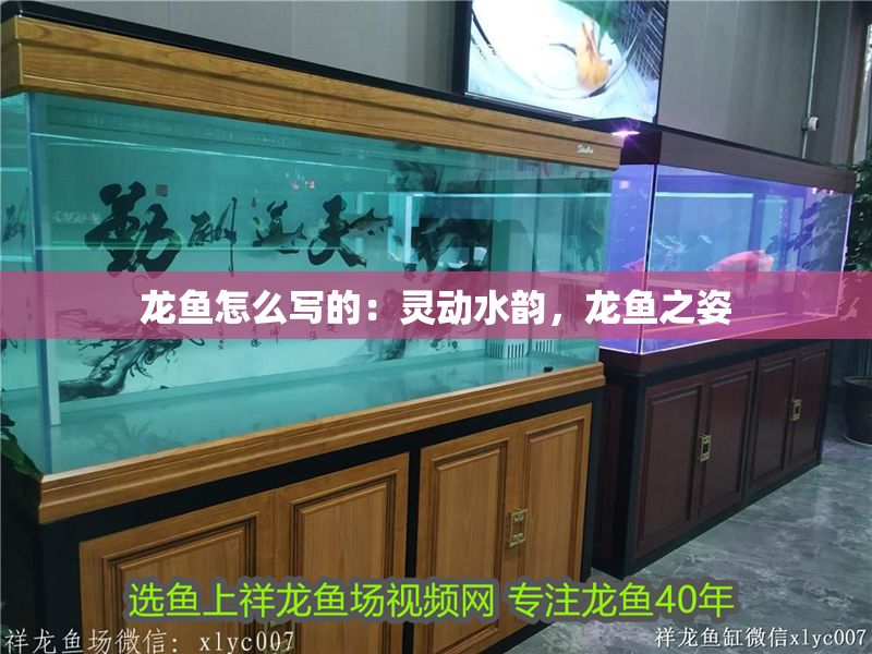 龍魚怎么寫的：靈動水韻，龍魚之姿