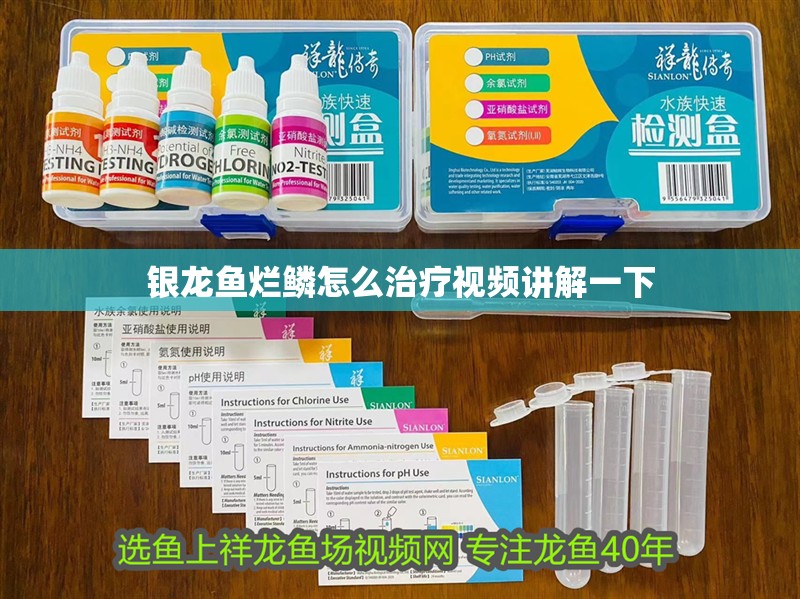 銀龍魚爛鱗怎么治療視頻講解一下